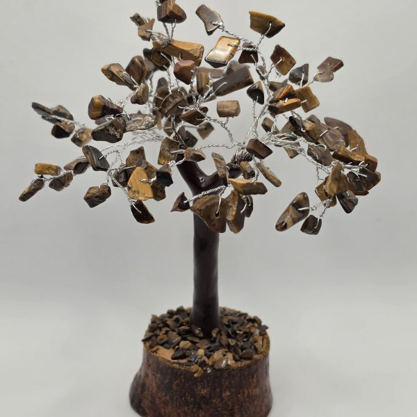 Árbol Ojo de Tigre 100 Chips Aprox