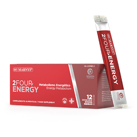 2FOUR-ENERGY 12 STICK