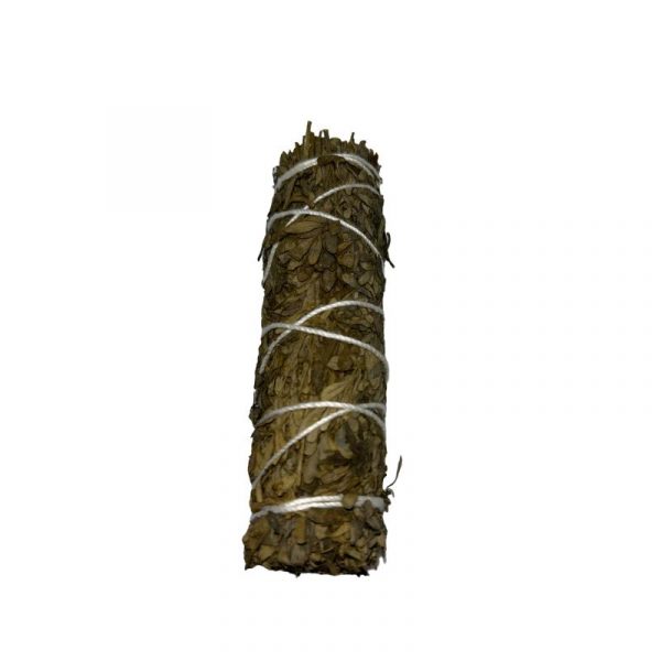 Atadillo Ruda